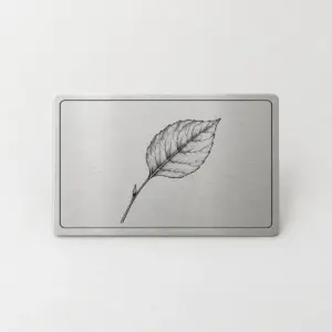 Botanical Plate Metal Wallet Card with a single leaf and stem study in fine black line art with a thin border