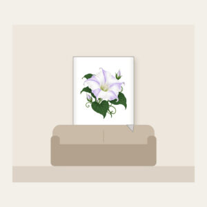Moonflower on Deep Green Fleece Blanket in white: One large moonflower in white and lavender glows against a deep green ground.