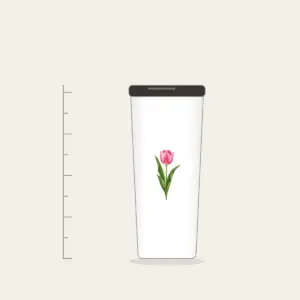 Single Pink Tulip with Long Leaves Tumbler in white: A single tall tulip with long leaves in pink and green.