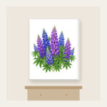 Lupine Spikes in Violet and Blue Canvas Print in white: Tall lupine spikes in violet and blue rise among green leaves.