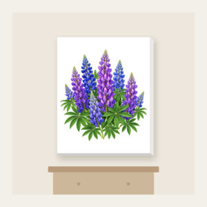 Lupine Spikes in Violet and Blue Canvas Print in white: Tall lupine spikes in violet and blue rise among green leaves.