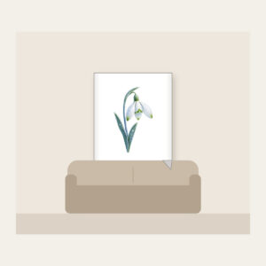 Frosted Snowdrop Blossom Fleece Blanket in white: A snowdrop flower with white petals, green tips and a pale blue stem, drawn with a delicate frost texture.