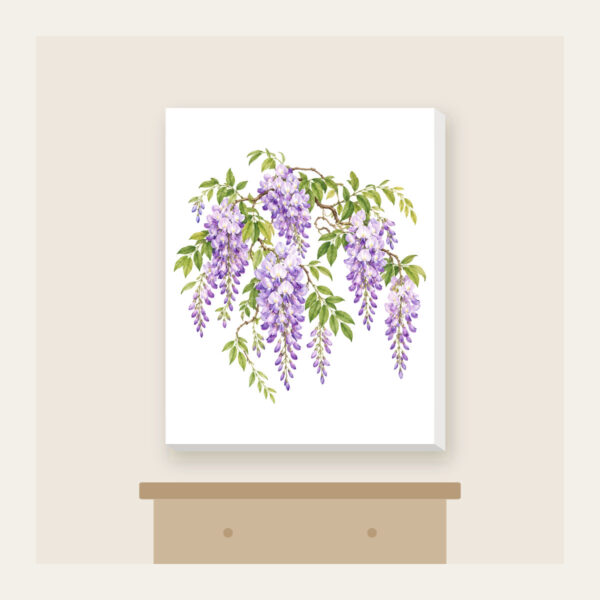 Product image Cascading Wisteria Blossoms Canvas Print