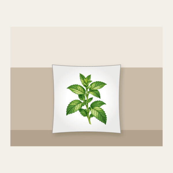 Product image Wild Mint Sprig Pillow