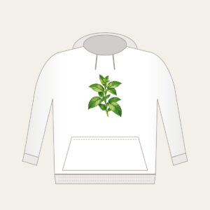 Wild Mint Sprig Hoodie in white: A single wild mint sprig with serrated leaves in cream and green.