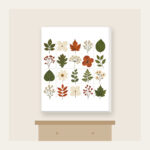 Pressed Leaf Specimen Grid Canvas Print in white: A grid of pressed leaves and blossoms in green, rust and cream with tiny index lines.