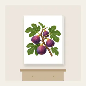 Fig Branch with Plump Purple Figs Canvas Print in white: A fig branch carrying plump purple figs and broad green leaves on a cream ground.