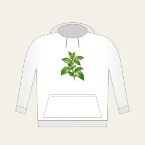 Wild Mint Sprig Hoodie in white: A single wild mint sprig with serrated leaves in cream and green.