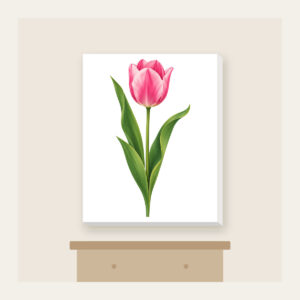 Single Pink Tulip with Long Leaves Canvas Print in white: A single tall tulip with long leaves in pink and green.