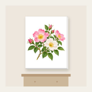 Wild Rose Branch Canvas Print in white: A branch of wild roses with pink and white blossoms and fresh green leaves.