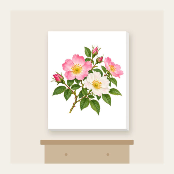 Product image Wild Rose Branch Canvas Print