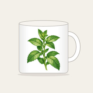 Wild Mint Sprig Mug in white: A single wild mint sprig with serrated leaves in cream and green.