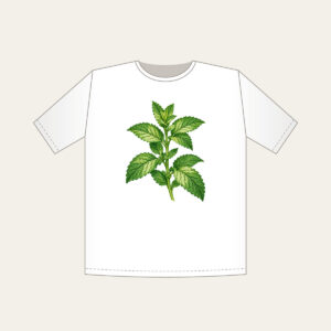 Wild Mint Sprig T-Shirt in white: A single wild mint sprig with serrated leaves in cream and green.