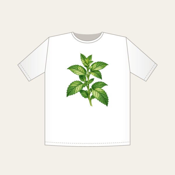 Product image Wild Mint Sprig T-Shirt