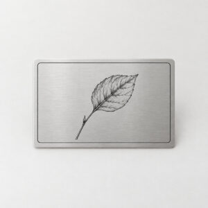 Botanical Plate Metal Wallet Card with a single leaf and stem study in fine black line art with a thin border