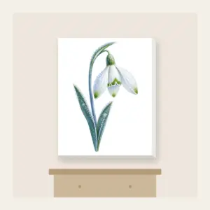 Frosted Snowdrop Blossom Canvas Print in white: A snowdrop flower with white petals, green tips and a pale blue stem, drawn with a delicate frost texture.