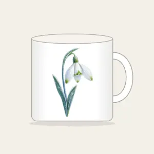 Frosted Snowdrop Blossom Mug in white: A snowdrop flower with white petals, green tips and a pale blue stem, drawn with a delicate frost texture.