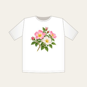 Wild Rose Branch T-Shirt in white: A branch of wild roses with pink and white blossoms and fresh green leaves.