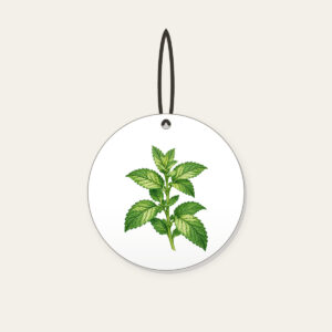 Wild Mint Sprig Ceramic Ornament in white: A single wild mint sprig with serrated leaves in cream and green.