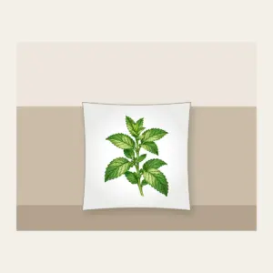 Wild Mint Sprig Pillow in white: A single wild mint sprig with serrated leaves in cream and green.