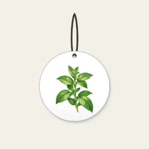 Wild Mint Sprig Ceramic Ornament in white: A single wild mint sprig with serrated leaves in cream and green.