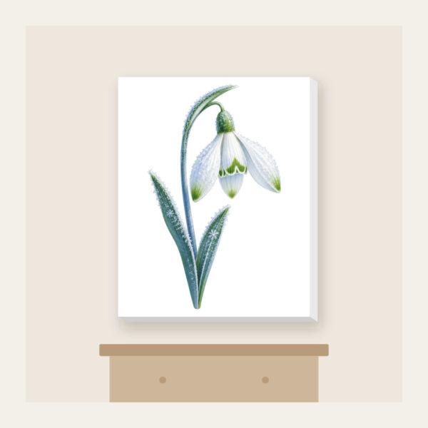 Product image Frosted Snowdrop Blossom Canvas Print