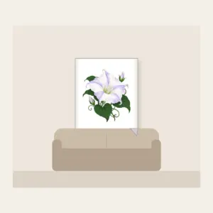 Moonflower on Deep Green Fleece Blanket in white: One large moonflower in white and lavender glows against a deep green ground.