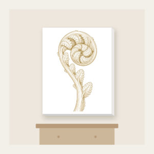 Unrolling Fiddlehead Fern Canvas Print in white: A single fiddlehead fern unrolls in cream line art.