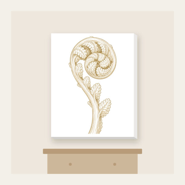 Product image Unrolling Fiddlehead Fern Canvas Print