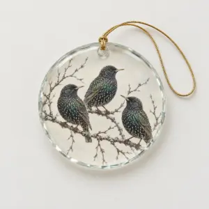 Starling Branch Glass Ornament with three starlings on a bare branch in charcoal and iridescent green on a pale ground