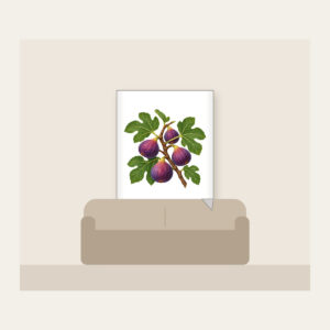 Fig Branch with Plump Purple Figs Fleece Blanket in white: A fig branch carrying plump purple figs and broad green leaves on a cream ground.
