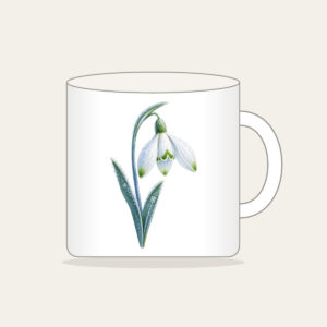 Frosted Snowdrop Blossom Mug in white: A snowdrop flower with white petals, green tips and a pale blue stem, drawn with a delicate frost texture.