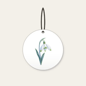 Frosted Snowdrop Blossom Ceramic Ornament in white: A snowdrop flower with white petals, green tips and a pale blue stem, drawn with a delicate frost texture.