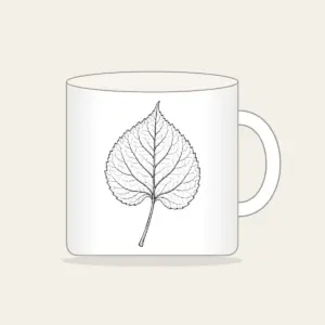Single Leaf Study in Black Line Art Mug in white: A single leaf and stem in fine black line art, edged with a thin border.