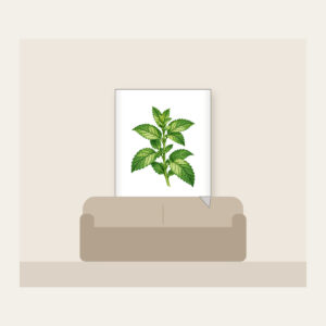 Wild Mint Sprig Fleece Blanket in white: A single wild mint sprig with serrated leaves in cream and green.