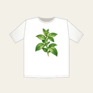 Wild Mint Sprig T-Shirt in white: A single wild mint sprig with serrated leaves in cream and green.