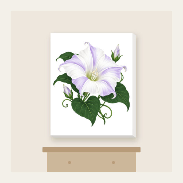 Product image Moonflower on Deep Green Canvas Print