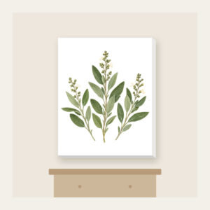 Three Pressed Sage Sprigs Canvas Print in white: Three sage sprigs in cream and pale green with tiny dotted stems, like a page from a pressed-botanical album.