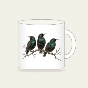 Three Starlings on a Bare Branch Mug in white: Three starlings perch on a bare branch in charcoal and iridescent green on a pale ground.